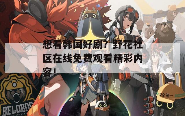 想看韓國好??？野花社區(qū)在線免費觀看精彩內容！