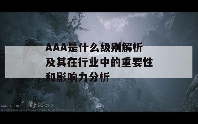 AAA是什么級(jí)別解析及其在行業(yè)中的重要性和影響力分析