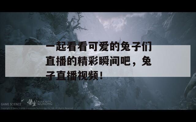 一起看看可愛的兔子們直播的精彩瞬間吧，兔子直播視頻！