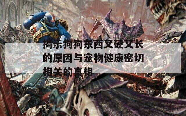 揭示狗狗東西又硬又長的原因與寵物健康密切相關(guān)的真相