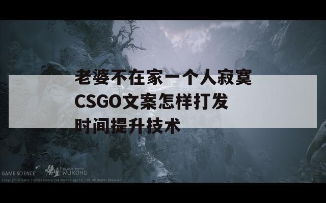 老婆不在家一個人寂寞CSGO文案怎樣打發(fā)時間提升技術(shù)