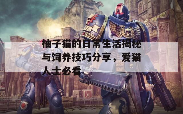 柚子貓的日常生活揭秘與飼養(yǎng)技巧分享，愛(ài)貓人士必看