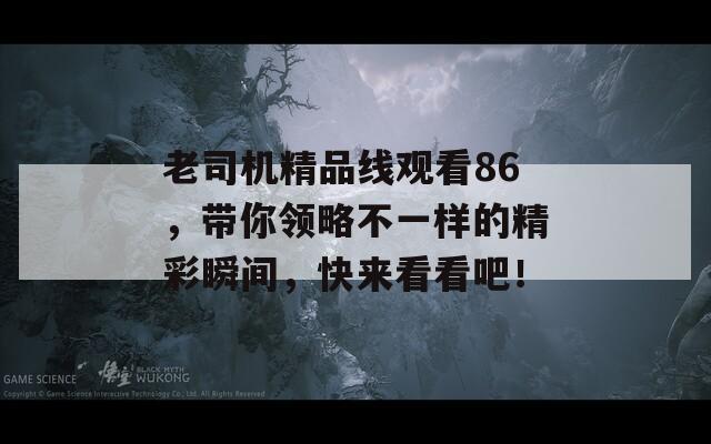 老司機(jī)精品線觀看86，帶你領(lǐng)略不一樣的精彩瞬間，快來看看吧！