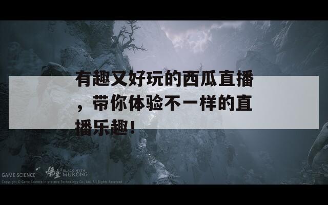 有趣又好玩的西瓜直播，帶你體驗不一樣的直播樂趣！