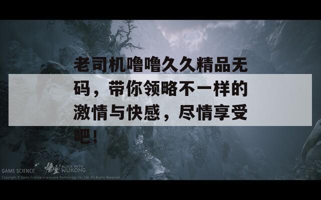老司機(jī)嚕嚕久久精品無碼，帶你領(lǐng)略不一樣的激情與快感，盡情享受吧！