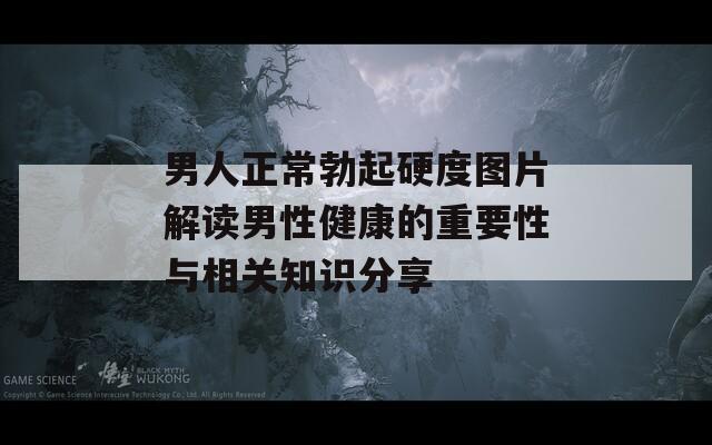 男人正常勃起硬度圖片解讀男性健康的重要性與相關知識分享