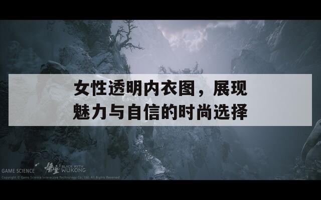 女性透明內(nèi)衣圖，展現(xiàn)魅力與自信的時(shí)尚選擇