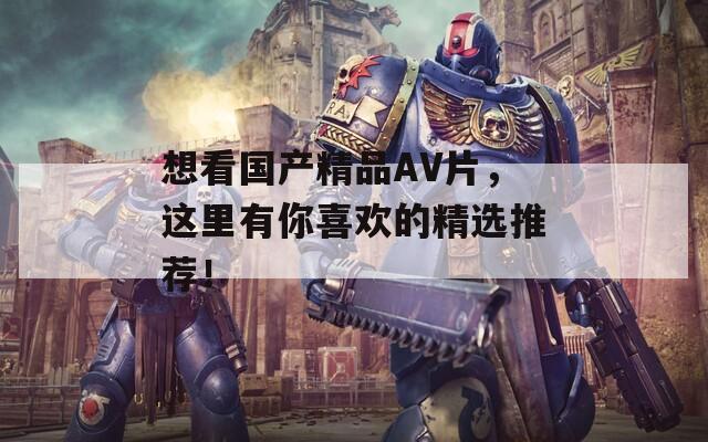 想看國(guó)產(chǎn)精品AV片，這里有你喜歡的精選推薦！