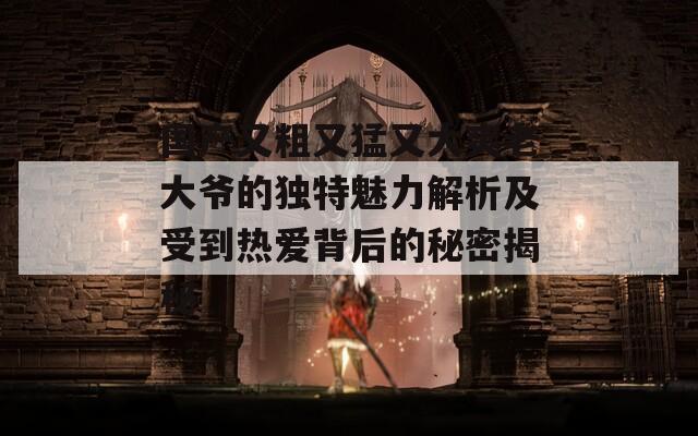 國(guó)產(chǎn)又粗又猛又大爽老大爺?shù)莫?dú)特魅力解析及受到熱愛背后的秘密揭秘