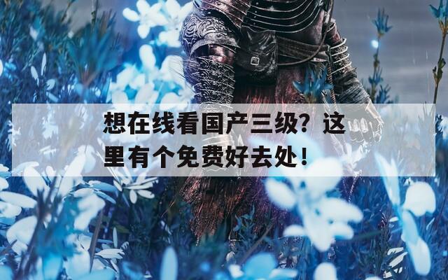 想在線看國產(chǎn)三級？這里有個免費好去處！