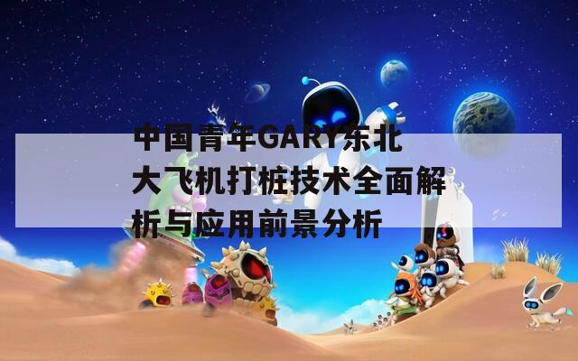 中國青年GARY東北大飛機(jī)打樁技術(shù)全面解析與應(yīng)用前景分析