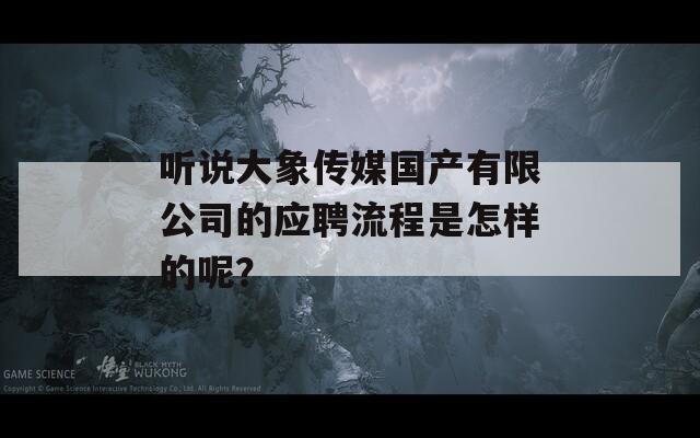聽(tīng)說(shuō)大象傳媒國(guó)產(chǎn)有限公司的應(yīng)聘流程是怎樣的呢？