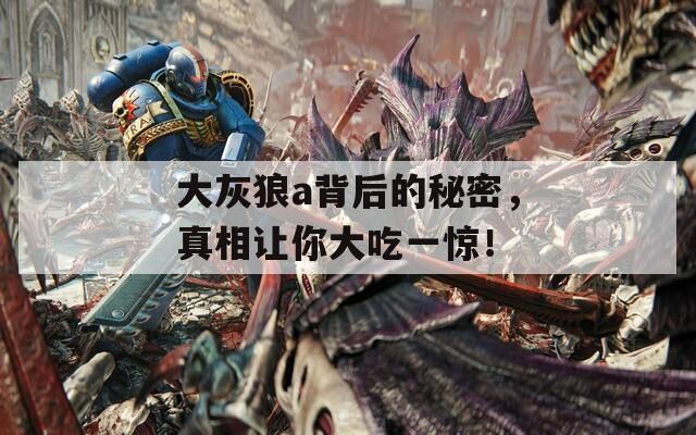 大灰狼a背后的秘密，真相讓你大吃一驚！