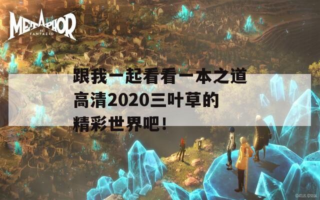 跟我一起看看一本之道高清2020三葉草的精彩世界吧！