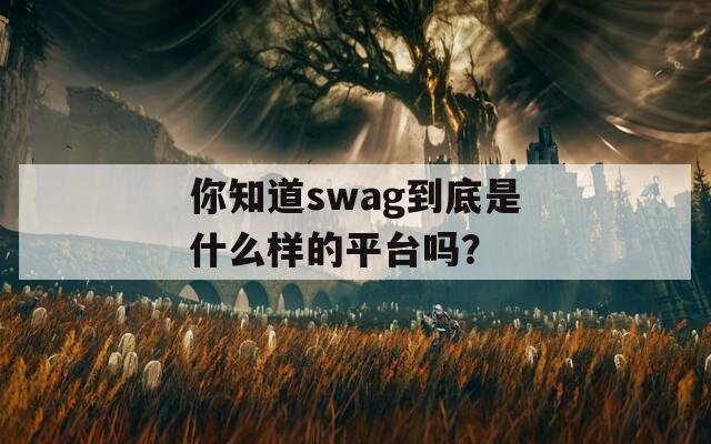 你知道swag到底是什么樣的平臺(tái)嗎？