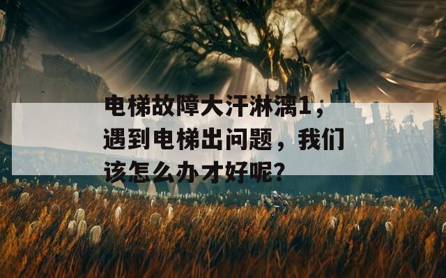 電梯故障大汗淋漓1，遇到電梯出問(wèn)題，我們?cè)撛趺崔k才好呢？