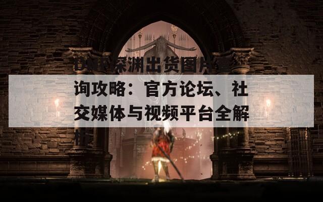 DNF深淵出貨圖片查詢攻略：官方論壇、社交媒體與視頻平臺全解析