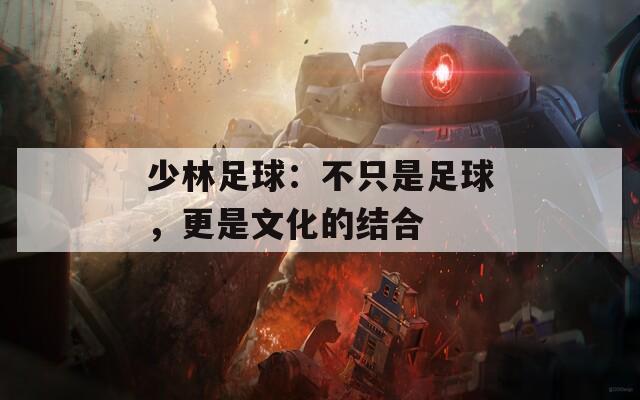 少林足球：不只是足球，更是文化的結(jié)合