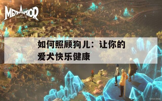 如何照顧狗兒：讓你的愛犬快樂健康