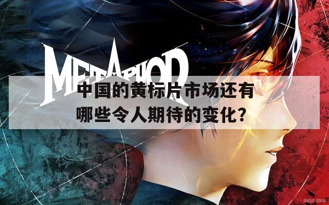 中國的黃標(biāo)片市場(chǎng)還有哪些令人期待的變化？