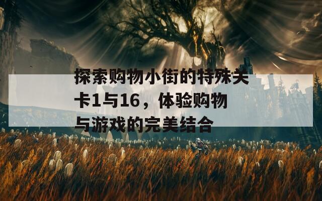 探索購物小街的特殊關(guān)卡1與16，體驗購物與游戲的完美結(jié)合