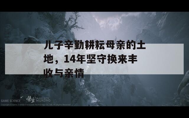 兒子辛勤耕耘母親的土地，14年堅守?fù)Q來豐收與親情