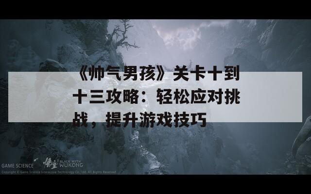 《帥氣男孩》關卡十到十三攻略：輕松應對挑戰(zhàn)，提升游戲技巧