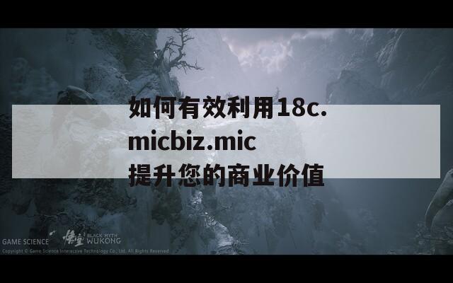 如何有效利用18c.micbiz.mic提升您的商業(yè)價(jià)值