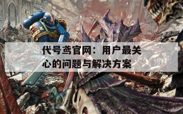 代號鳶官網(wǎng)：用戶最關(guān)心的問題與解決方案