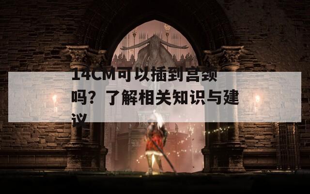 14CM可以插到宮頸嗎？了解相關(guān)知識與建議