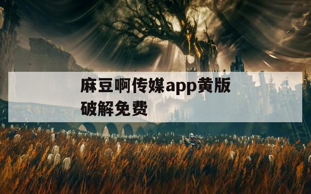 麻豆啊傳媒app黃版破解免費(fèi)