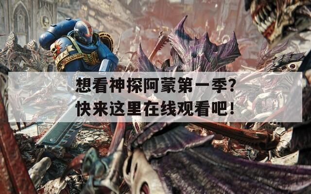 想看神探阿蒙第一季？快來這里在線觀看吧！