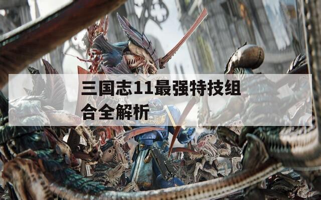 三國志11最強(qiáng)特技組合全解析