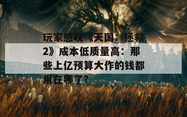 玩家感嘆《天國(guó)：拯救2》成本低質(zhì)量高：那些上億預(yù)算大作的錢都用在哪了?