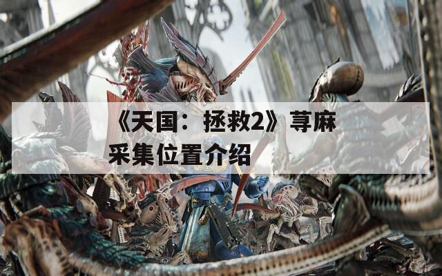《天國：拯救2》蕁麻采集位置介紹