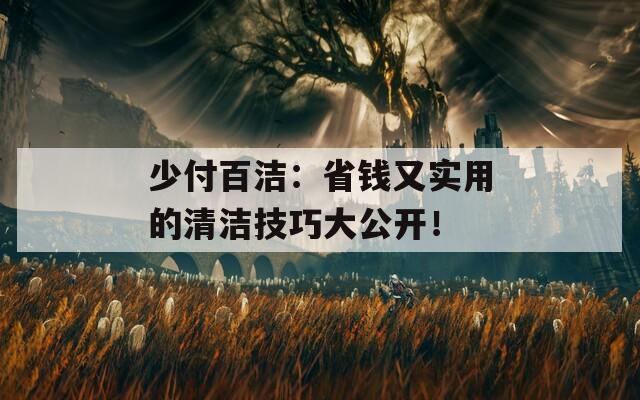 少付百潔：省錢又實用的清潔技巧大公開！