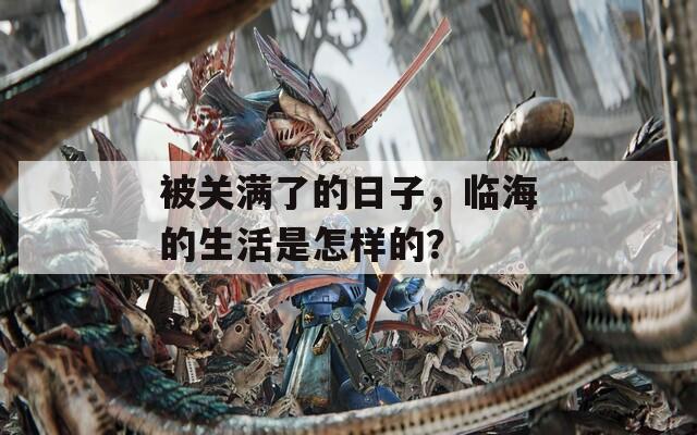 被關(guān)滿了的日子，臨海的生活是怎樣的？
