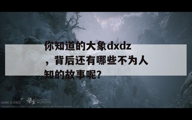 你知道的大象dxdz，背后還有哪些不為人知的故事呢？