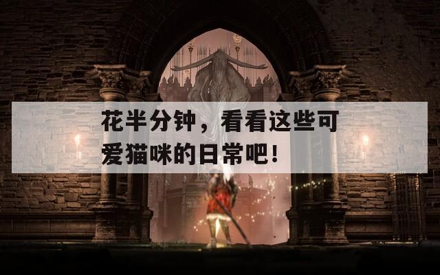花半分鐘，看看這些可愛貓咪的日常吧！
