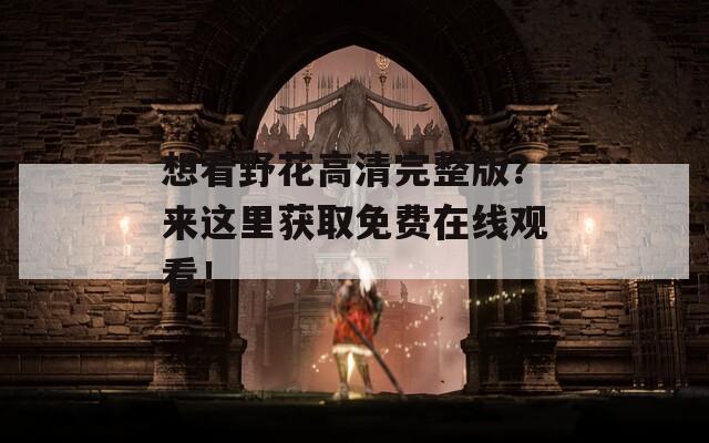 想看野花高清完整版？來這里獲取免費在線觀看！