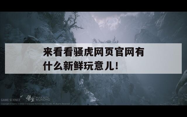 來看看騷虎網(wǎng)頁官網(wǎng)有什么新鮮玩意兒！