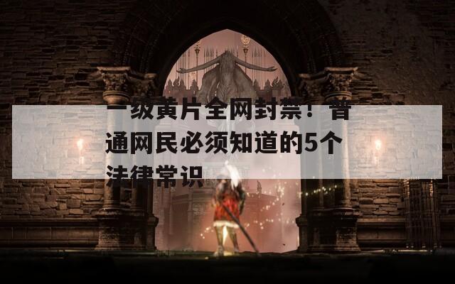 一級黃片全網(wǎng)封禁！普通網(wǎng)民必須知道的5個法律常識