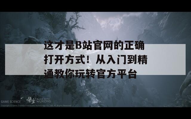 這才是B站官網(wǎng)的正確打開方式！從入門到精通教你玩轉(zhuǎn)官方平臺