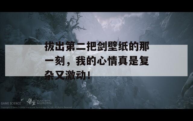 拔出第二把劍壁紙的那一刻，我的心情真是復雜又激動！