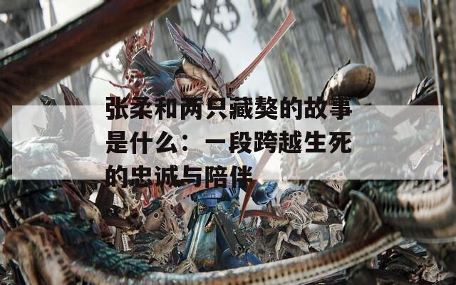 張柔和兩只藏獒的故事是什么：一段跨越生死的忠誠(chéng)與陪伴