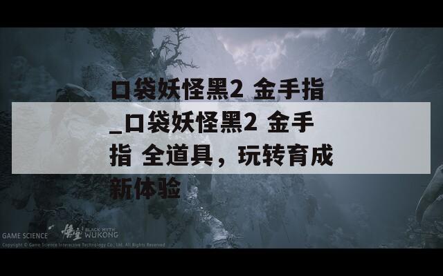 口袋妖怪黑2 金手指_口袋妖怪黑2 金手指 全道具，玩轉(zhuǎn)育成新體驗