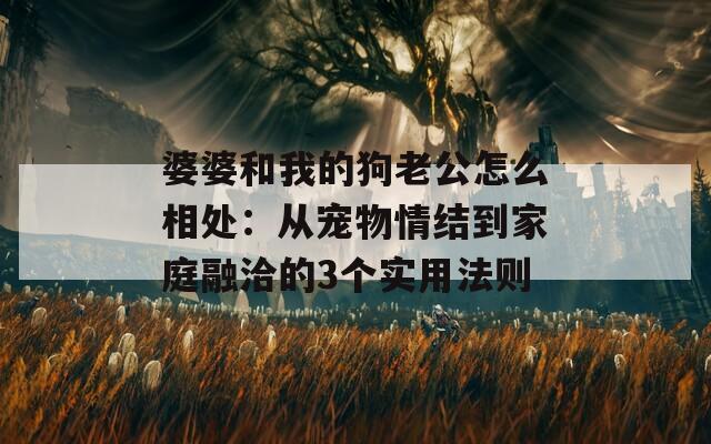婆婆和我的狗老公怎么相處：從寵物情結(jié)到家庭融洽的3個(gè)實(shí)用法則