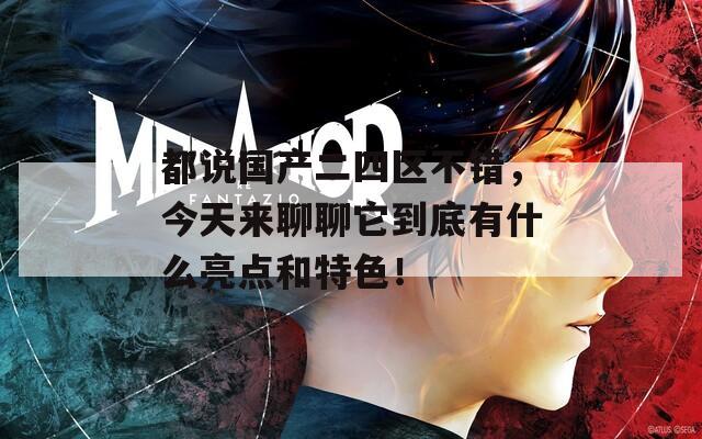 都說國產(chǎn)二四區(qū)不錯，今天來聊聊它到底有什么亮點和特色！
