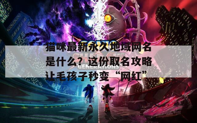 貓咪最新永久地域網(wǎng)名是什么？這份取名攻略讓毛孩子秒變“網(wǎng)紅”