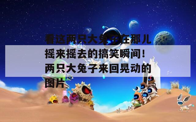 看這兩只大兔子在那兒搖來(lái)?yè)u去的搞笑瞬間！兩只大兔子來(lái)回晃動(dòng)的圖片